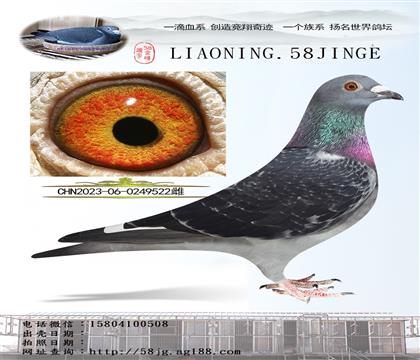 ˹TؽH522