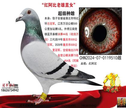 冠軍源頭一滴血
