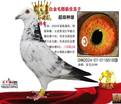 真正能飛的毛腳(公棚73名直子)年度最佳