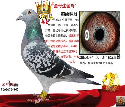 金母生金母