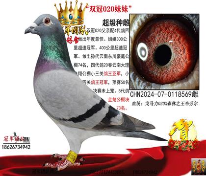 雙冠020妹妹(年度最佳)