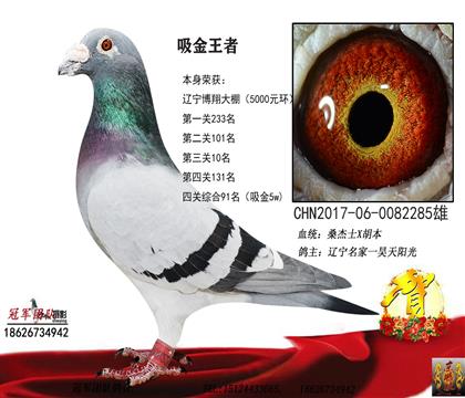 遼寧博翔5000棚 三關10位(吸金5W)
