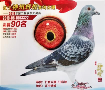 神州輝煌公棚決賽90名(吸金8W)一拍兩羽