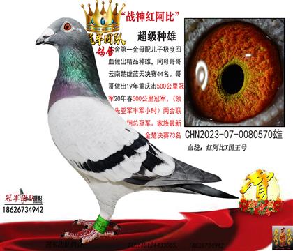 未來戰(zhàn)神570(第一金母回血直子)