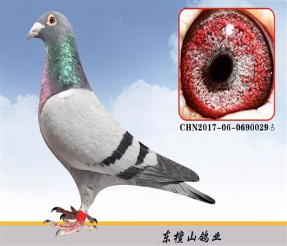 ղɭO