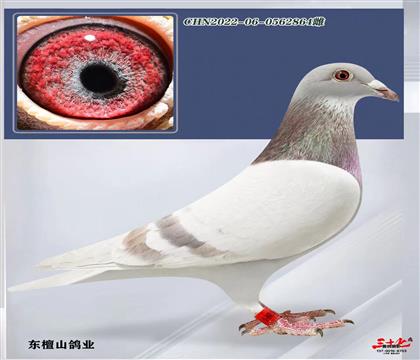 Ӣ˹350xRxղɭϵƣ