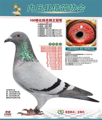 特比四關(guān)鴿王冠軍 精英賽冠軍
