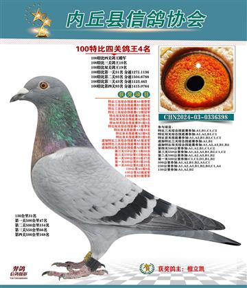 特比四關(guān)鴿王殿軍