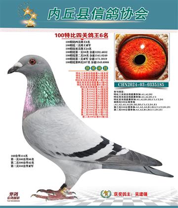 特比四關(guān)鴿王6名
