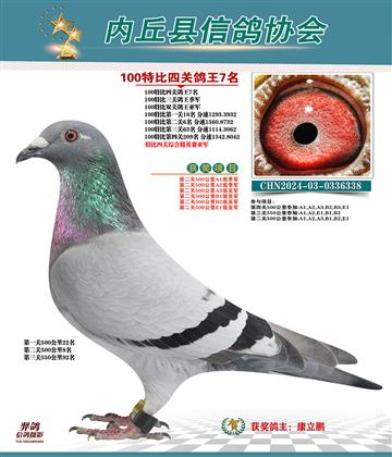 特比四關(guān)鴿王7名 精英賽亞軍