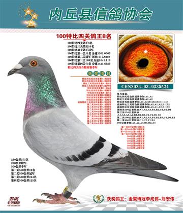 特比四關(guān)鴿王8名 精英賽季軍
