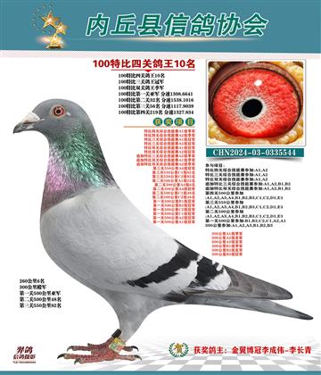 特比四關(guān)鴿王10名