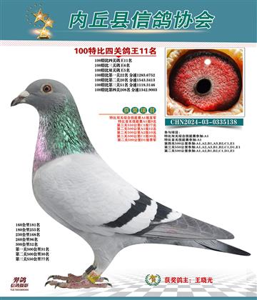 特比四關(guān)鴿王11名