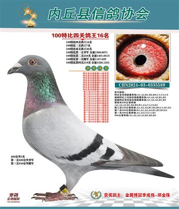 特比四關(guān)鴿王16名
