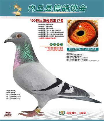 特比四關(guān)鴿王17名