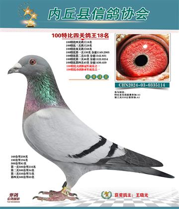 特比四關(guān)鴿王18名