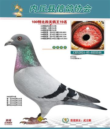 特比四關(guān)鴿王19名