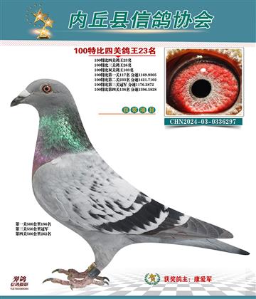 特比四關(guān)鴿王23名