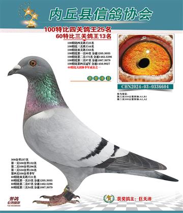 特比四關(guān)鴿王25名