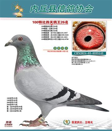 特比四關(guān)鴿王26名