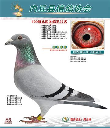 特比四關(guān)鴿王27名