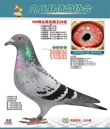 特比四關(guān)鴿王29名