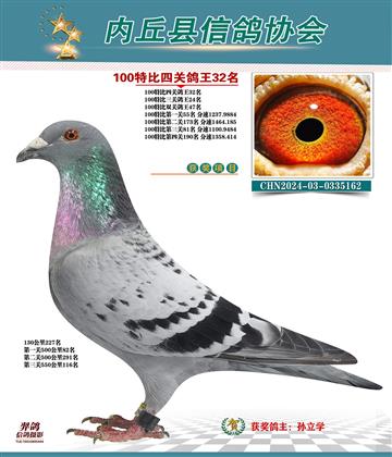 特比四關(guān)鴿王32名