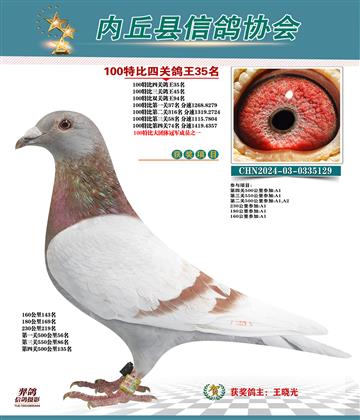 特比四關(guān)鴿王35名