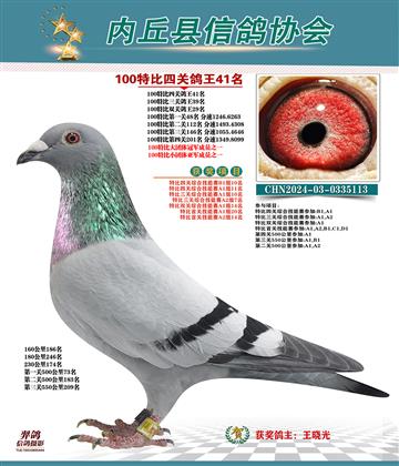 特比四關(guān)鴿王41名