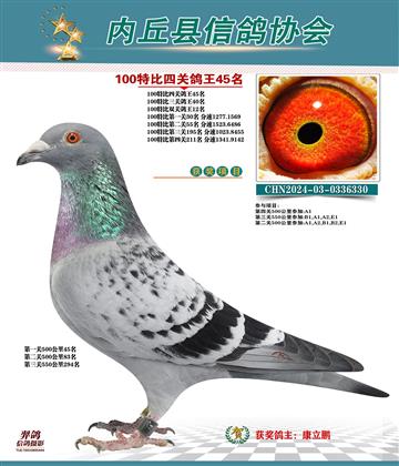 特比四關(guān)鴿王45名