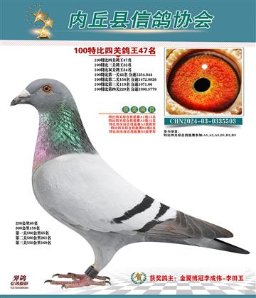 特比四關(guān)鴿王47名