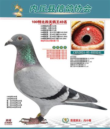 特比四關(guān)鴿王49名