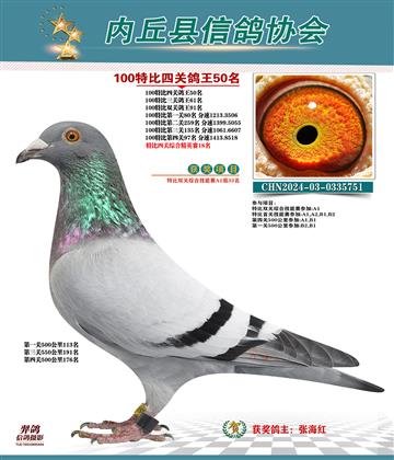 特比四關(guān)鴿王50名