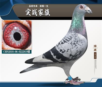 愛亞卡普凡龍 季軍父親