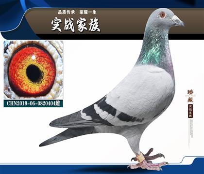 蓋比“冬日閃電” 4名
