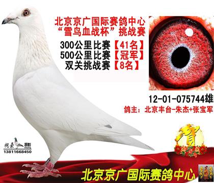 父親一7關(guān)冠軍