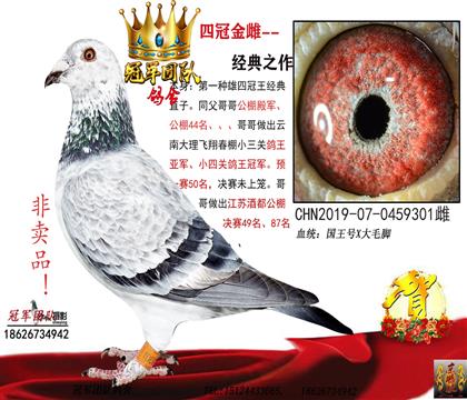 ĸHһĹڽ