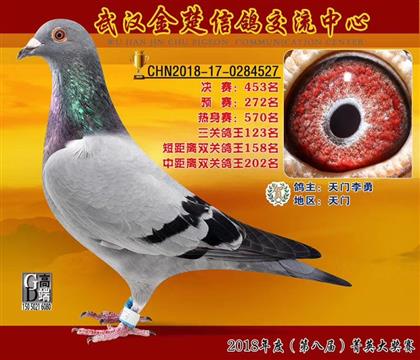 ɆT֮һ123
