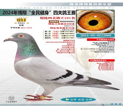 特比四關(guān)鴿王101名