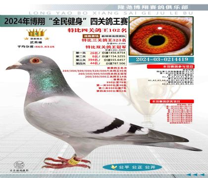 特比四關(guān)鴿王102名