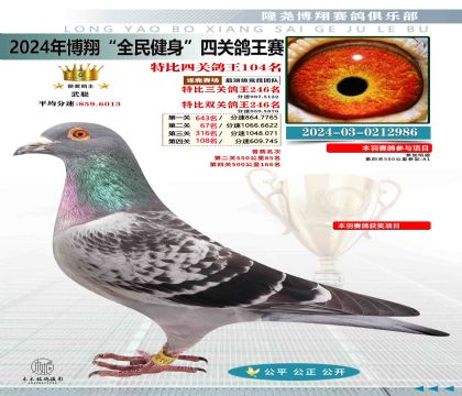 特比四關(guān)鴿王104名