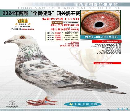 特比四關(guān)鴿王105名