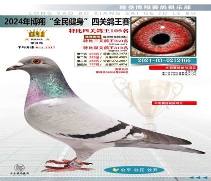 特比四關(guān)鴿王109名