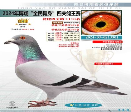 特比四關(guān)鴿王110名