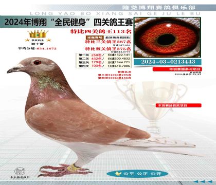 特比四關(guān)鴿王113名