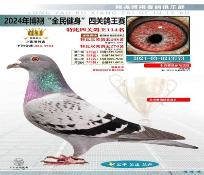 特比四關(guān)鴿王114名
