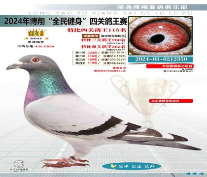 特比四關(guān)鴿王115名
