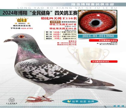 特比四關(guān)鴿王116名