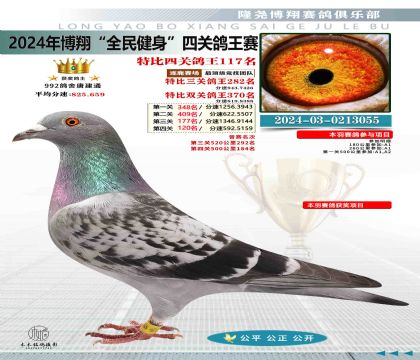 特比四關(guān)鴿王117名