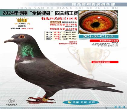 特比四關(guān)鴿王120名
